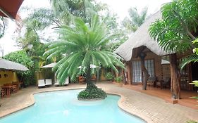 Trees Too Guest Lodge